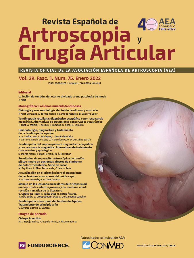 REACA Portada Vol.29. Fasc.1. Núm.75. Ene. 2022