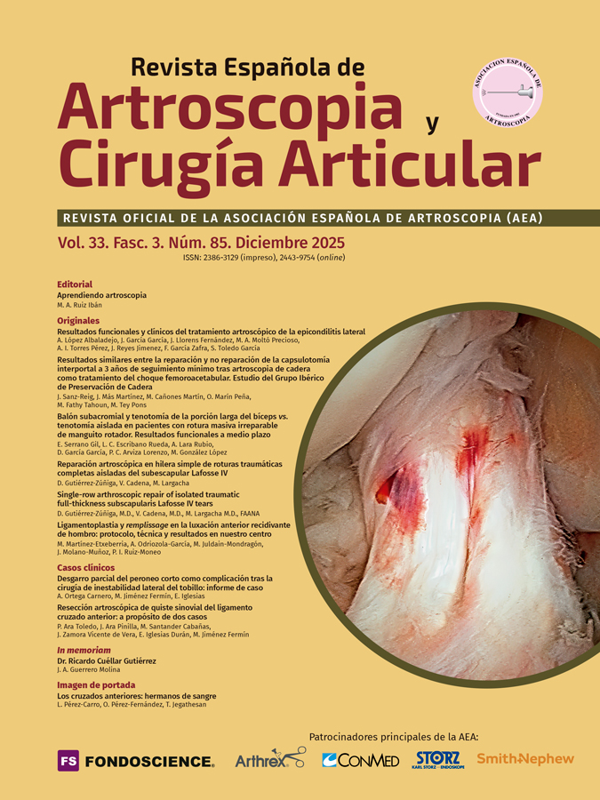 Portada Vol. 32. Fasc. 3. Núm. 85. Diciembre 2025