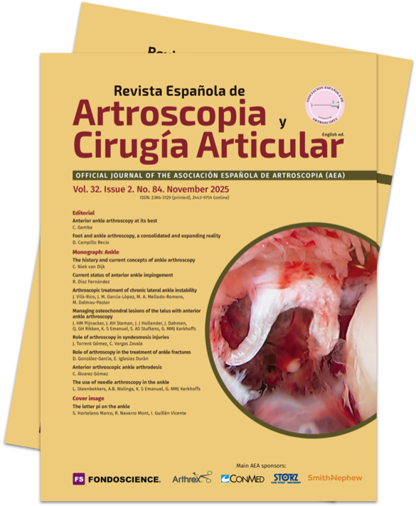 Cabecera Vol. 32. Issue 2. No. 84. November 2025