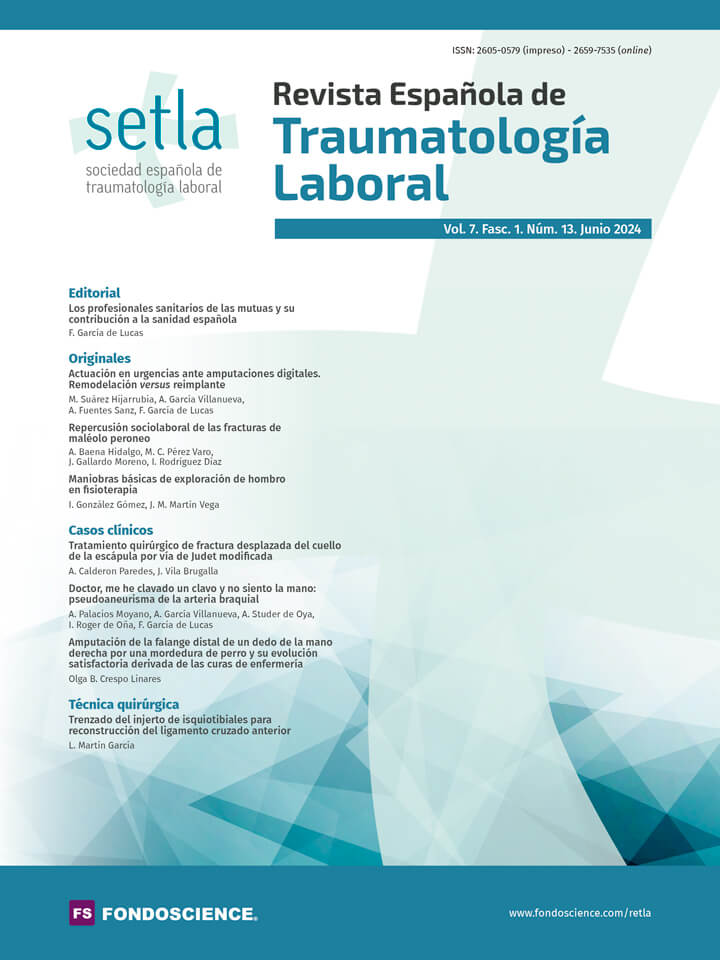 Portada Vol. 7. Fasc. 1. Núm. 13. Junio 2024
