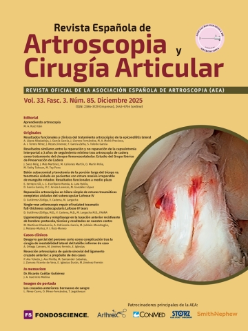 Portada Vol. 32. Fasc. 3. Núm. 85. Diciembre 2025